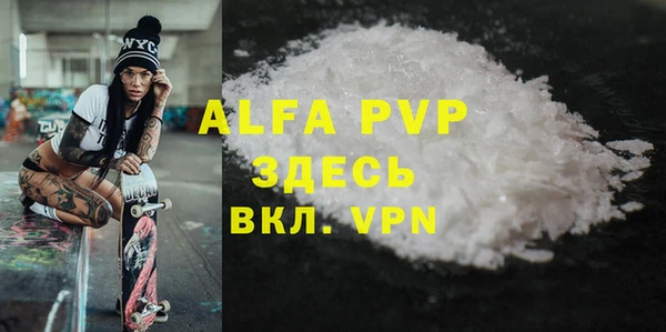 амф Пестово