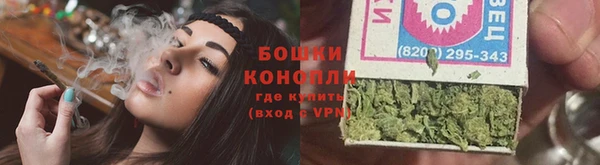 амф Пестово