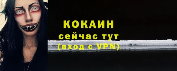 амф Пестово