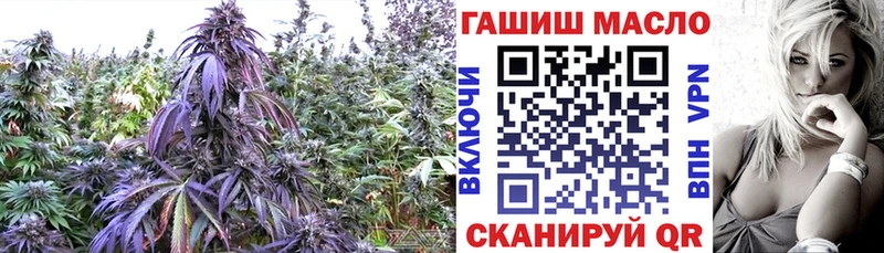 shop состав Асино Дистиллят ТГК THC oil