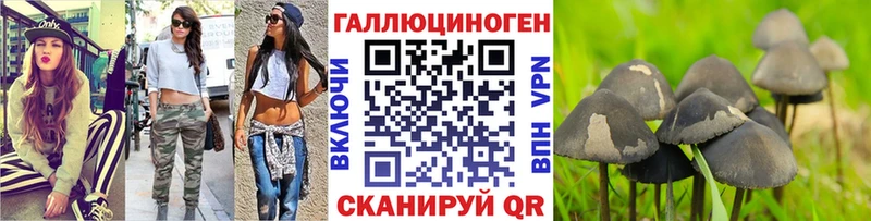 Галлюциногенные грибы Magic Shrooms Асино