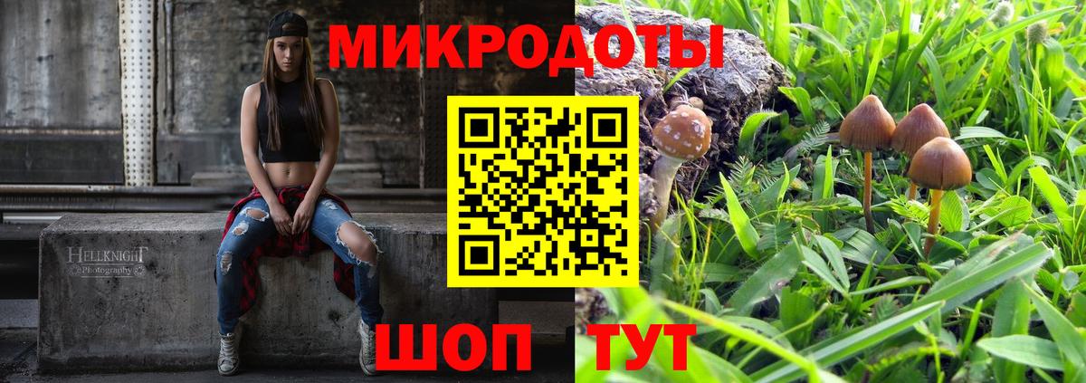 Галлюциногенные грибы Psilocybine cubensis  Галлюциногенные грибы Psilocybine cubensis  Асино  Вход с VPN 